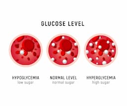 An animated image of glucose level .