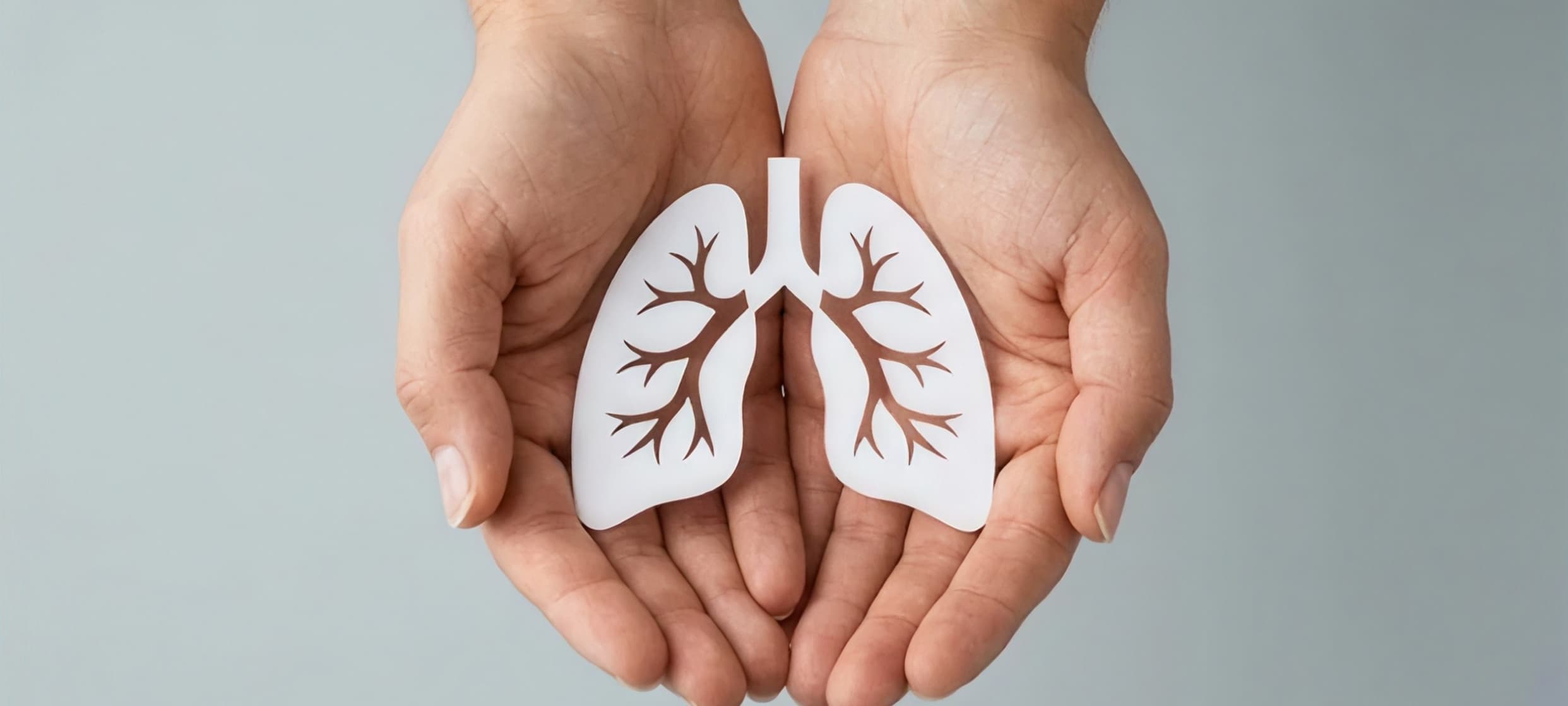 Hands holding a white paper cutout of lungs.